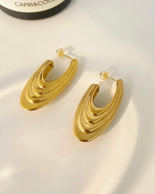 Boucles Zamia