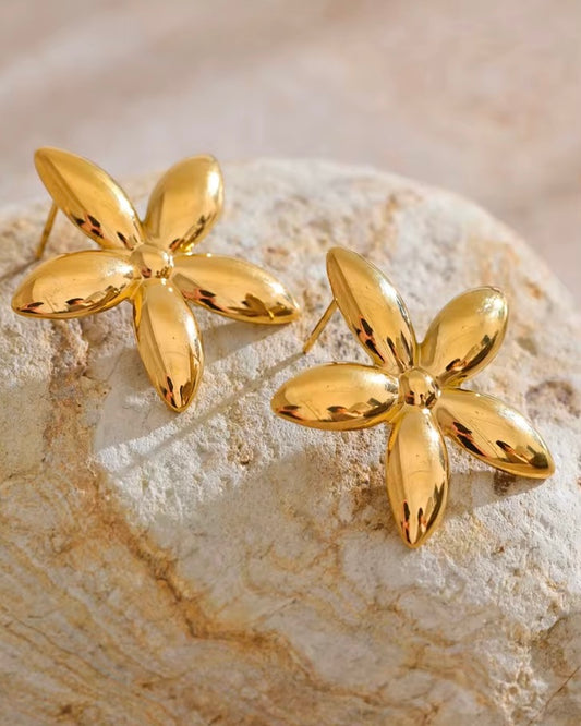 Boucles Swanny