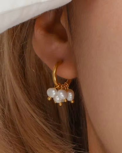 Boucles Sahara