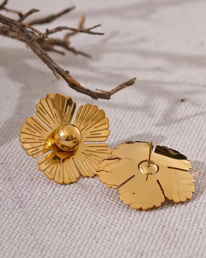Boucles Zavia