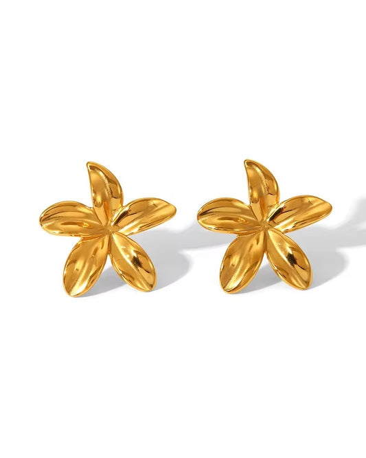 Boucles Zayonne