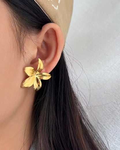 Boucles Zayonne
